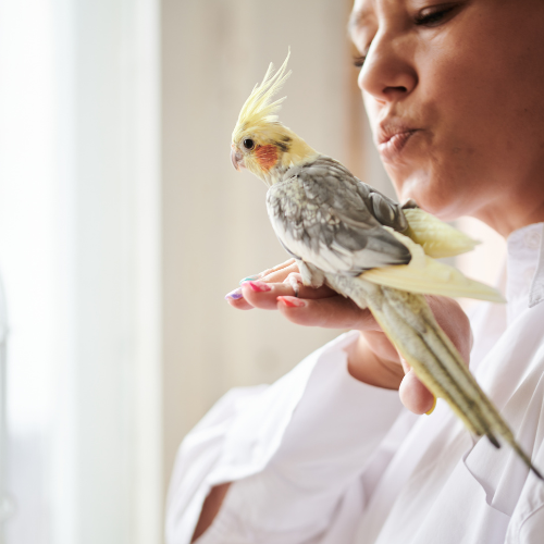 Προϊόντα Φροντίδας