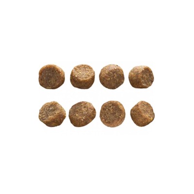 EUROPREMIUM Adult Small - Κοτόπουλο & Ρύζι