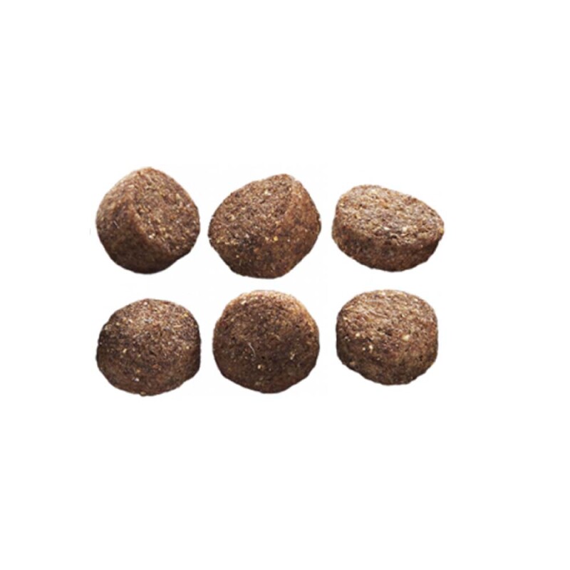 EUROPREMIUM Adult Medium - Αρνί & Ρύζι