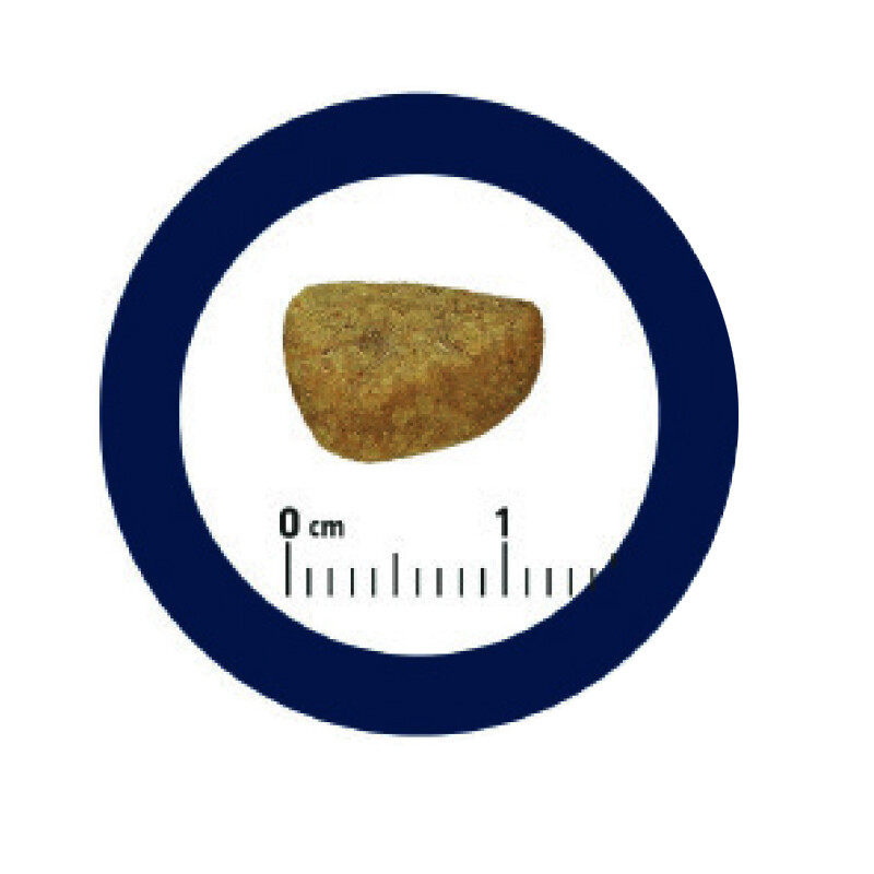 ADVANCE Sterilized - Senior