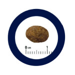 ADVANCE Sensitive - Sterilized 10kg