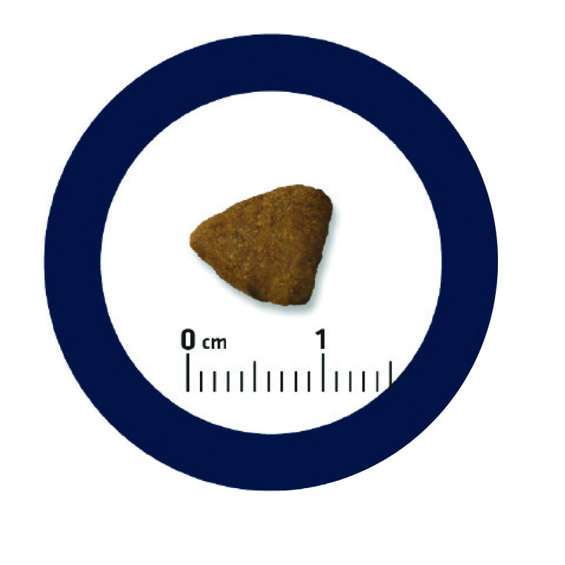 ADVANCE Mini - Adult