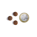 AMBROSIA Adult Chicken & Fresh Salmon