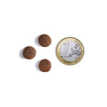 AMBROSIA Adult Lamb & Fresh Salmon 2kg