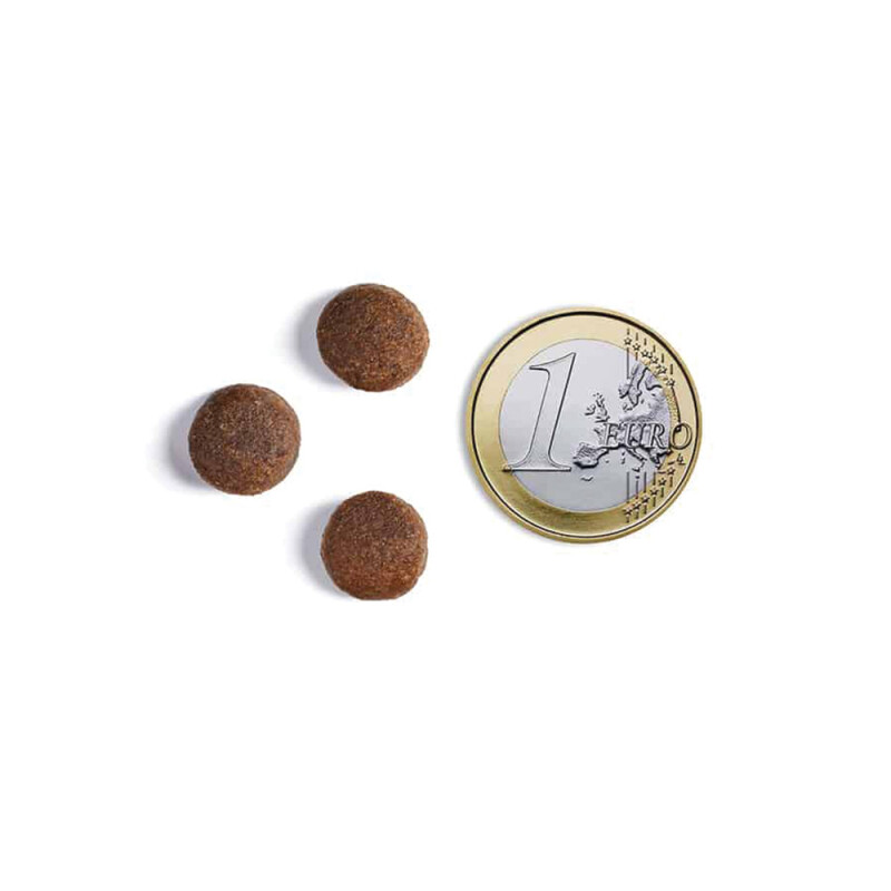 AMBROSIA Adult Fresh Venison & Lamb