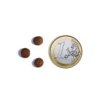 AMBROSIA Adult Mini Fresh Salmon & Chicken