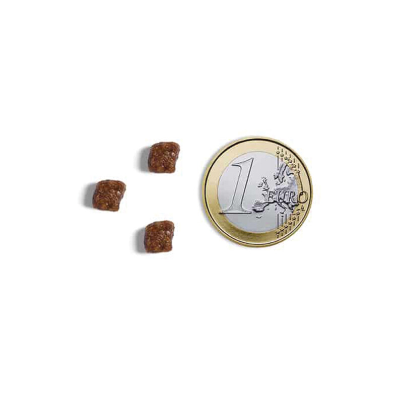 AMBROSIA Cat & Kitten Fresh Turkey & Chicken