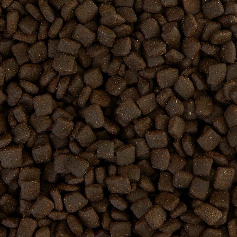 AATU Adult Σολομός & Ρέγγα