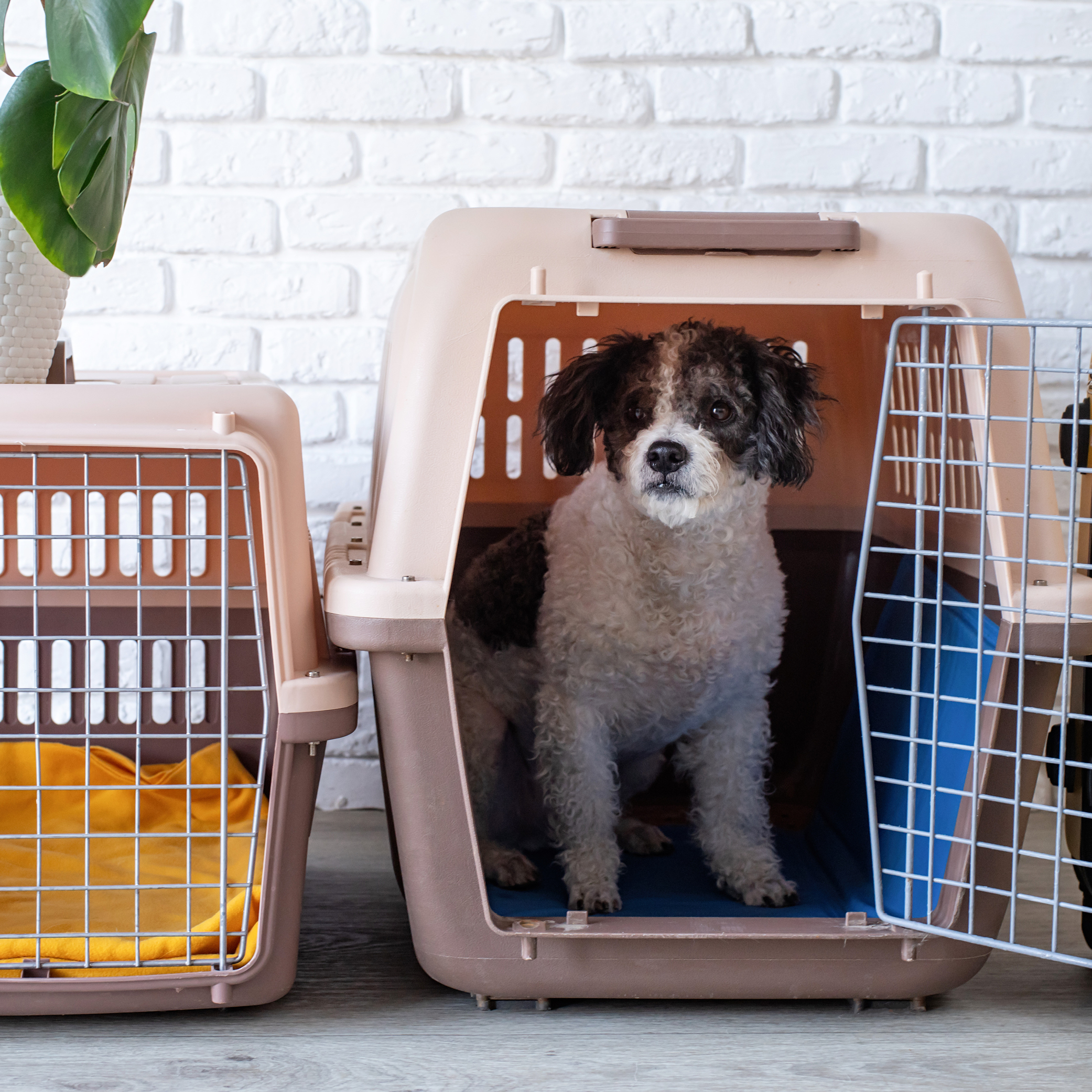 Πάρκα Περιορισμού