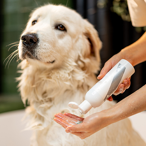 Σαμπουάν - Μαλακτικά - Κολώνιες