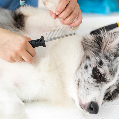 Χτένες - Βούρτσες - Νυχοκόπτες