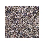 DELI NATURE Premium - Canaries 1kg