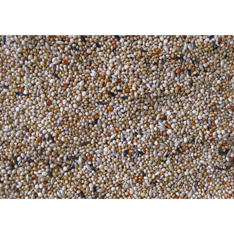 DELI NATURE Premium - Foreign Finches 1kg