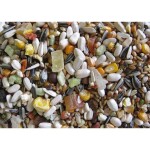 DELI NATURE Premium - Parrots 3kg