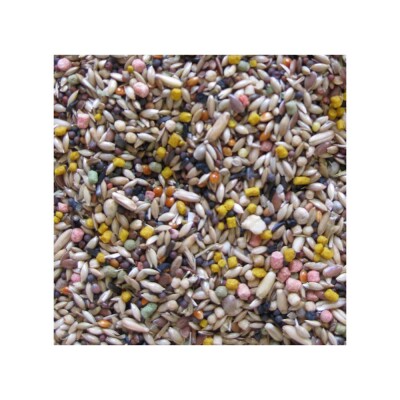 DELI NATURE Birdelicious Canaries 800gr