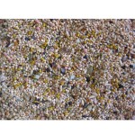 DELI NATURE Birdelicious Budgies 800gr