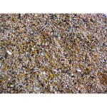 DELI NATURE Birdelicious Foreign Finches 800gr