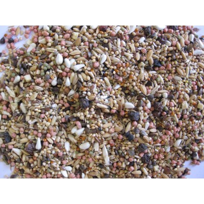 DELI NATURE Birdelicious Large Parakeets Serengeti 800gr