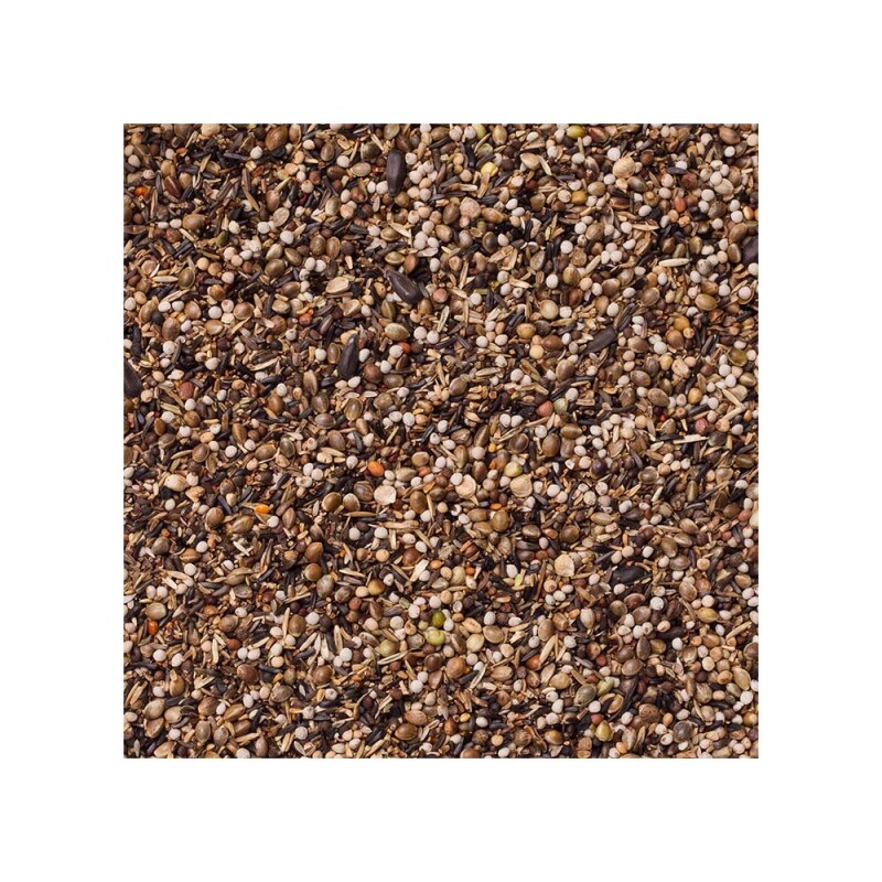 DELI NATURE Birdelicious Carduelis Goldfinches