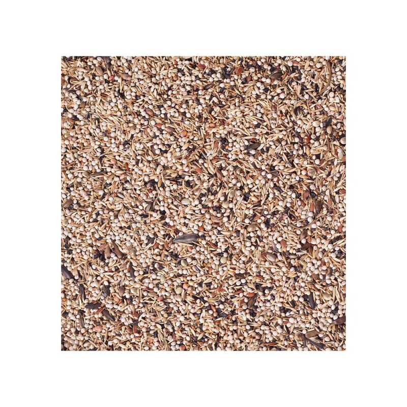 DELI NATURE Birdelicious Carduelis Goldfinches Light