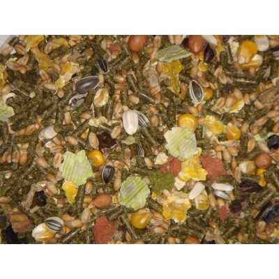 DELI NATURE Premium - Dinner 15kg