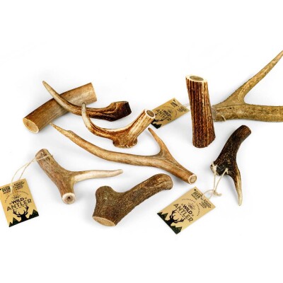 CELEBRATE FRESHNESS Wild Antler - Φυσικό κέρατο Ελαφιού εμποτισμένο με ελαιόλαδο