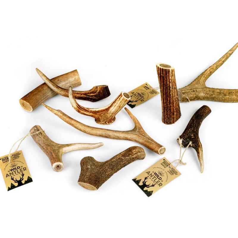 CELEBRATE FRESHNESS Wild Antler - Φυσικό κέρατο Ελαφιού εμποτισμένο με ελαιόλαδο