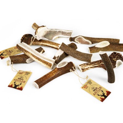 CELEBRATE FRESHNESS Wild Antler - Φυσικό κέρατο Ελαφιού κομμένο στη μέση
