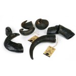 CELEBRATE FRESHNESS Wild Antler - Φυσικό κέρατο Βουβαλιού