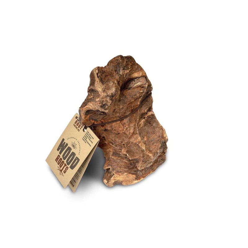 CELEBRATE FRESHNESS Φυσική ρίζα ξύλου με ελαιόλαδο