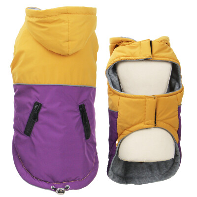 GLEE Τζάκετ Cygnus - Μωβ - Πορτοκαλί