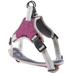 GLEE Σαμαράκια Ιμάντα Saddle