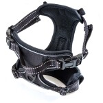 GLEE Σαμαράκι Ιμάντα Saddle No Pull Black | XL 25mm80-105cm