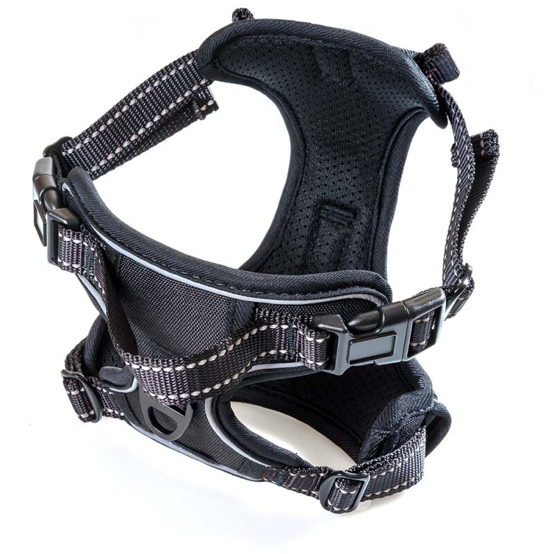 GLEE Σαμαράκι Ιμάντα Saddle No Pull Black | XL 25mm80-105cm