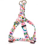 GLEE Λουράκια, Περιλαίμια, Σαμαράκια με σχέδια Flowers