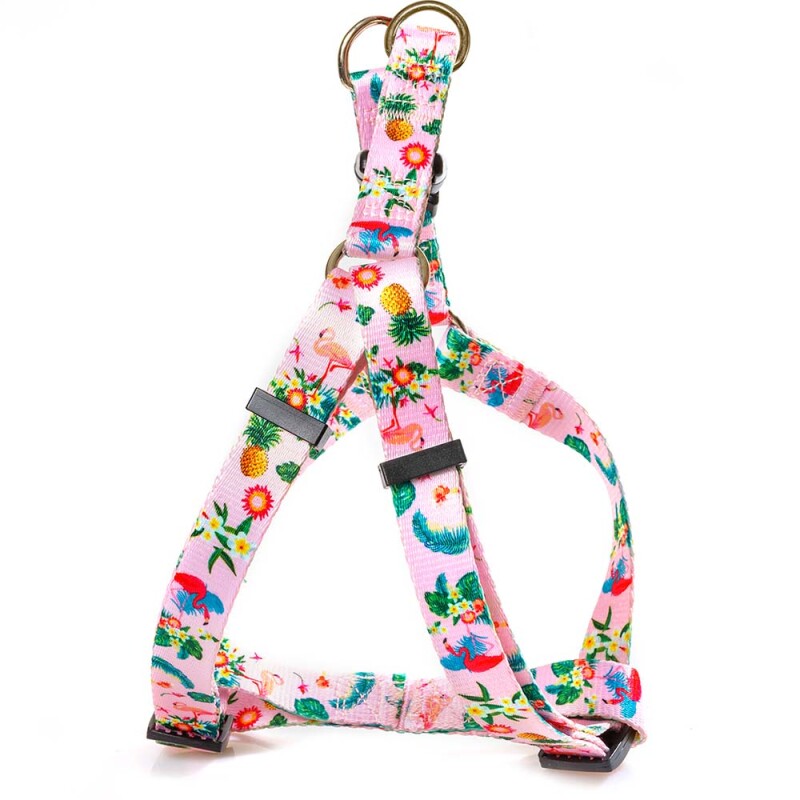 GLEE Λουράκια, Περιλαίμια, Σαμαράκια με σχέδια Flowers