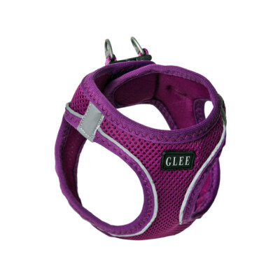 GLEE Σαμαράκι Joy Purple | M