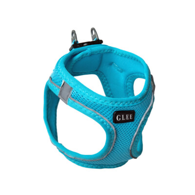 GLEE Σαμαράκι Joy Μπλέ | XS