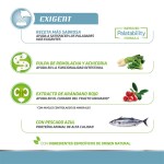 NATURAL TRAINER Exigent Adult - Ocean Fish