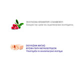 NATURAL TRAINER Kitten - Fresh Chicken 300gr