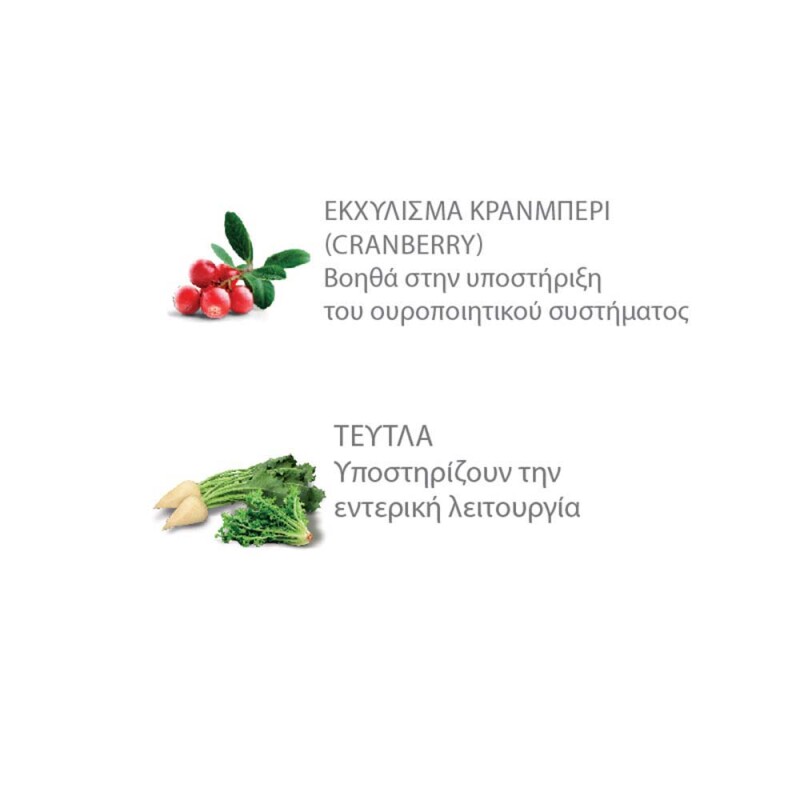 NATURAL TRAINER Adult - Beef 1,5kg