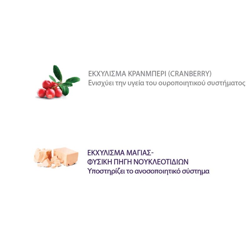 NATURAL TRAINER Kitten - Salmon