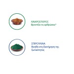 NATURAL TRAINER Maxi Adult - Tuna 12kg