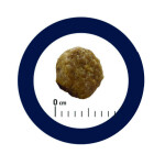 ADVANCE Kitten 400gr