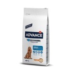 ADVANCE Medium - Adult 14kg