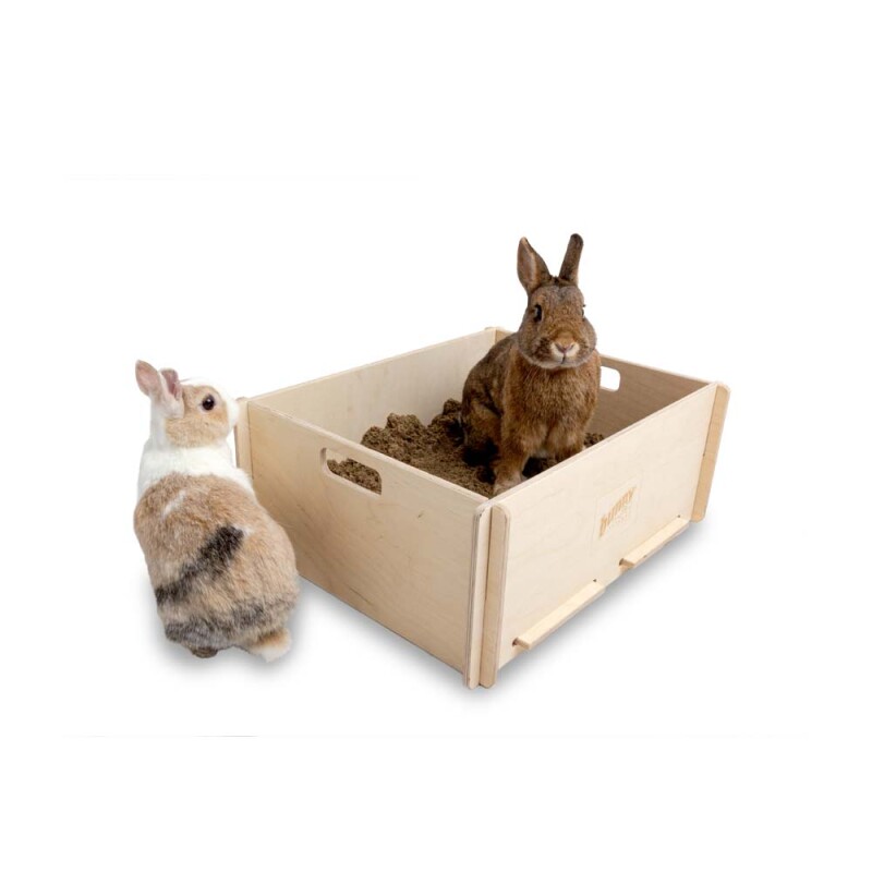 BUNNY INTERACTIVE Digging Time