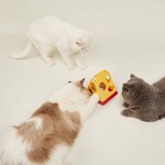 FOFOS Mouse in cheese