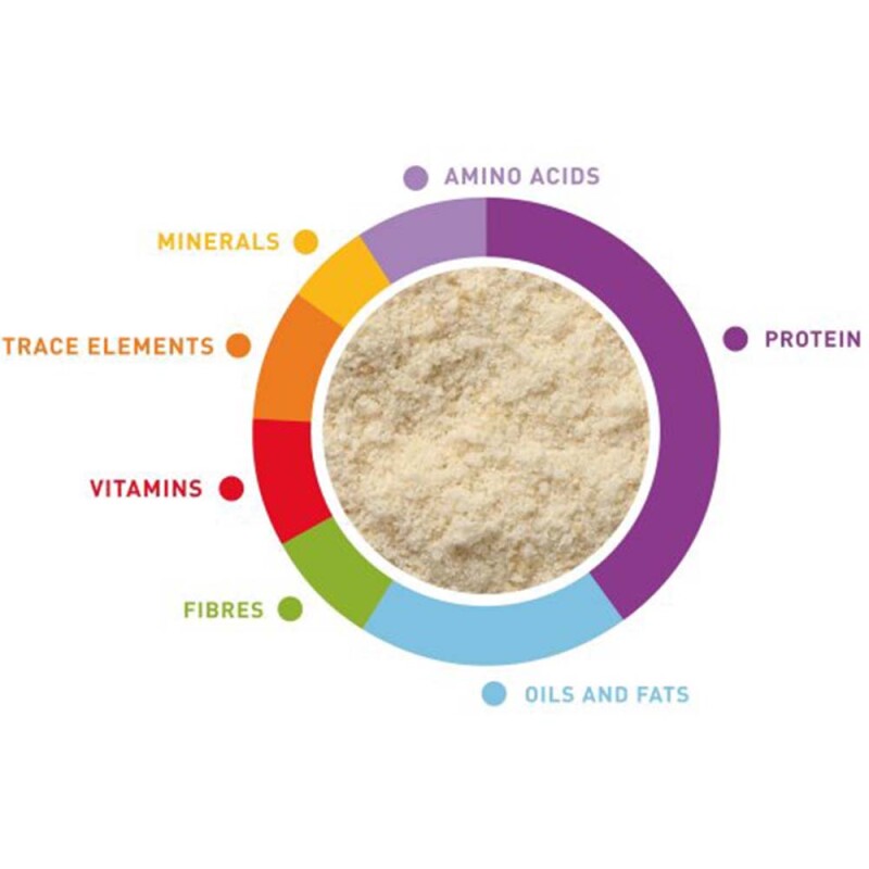 PADOVAN Baby Patee - Parrots 900gr