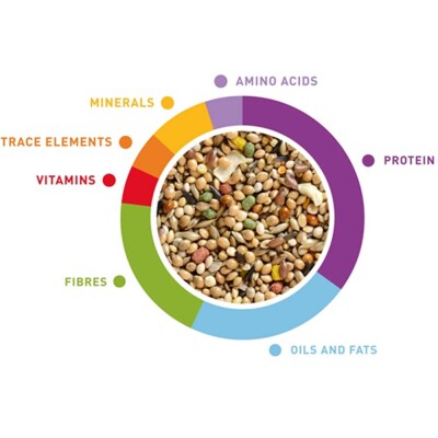 PADOVAN Wellness - Tropical 1kg