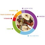 PADOVAN Wellness - Parrots 2,5kg